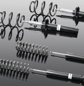 Sports Suspension