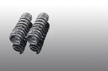 AC Schnitzer Performance Spring Kit